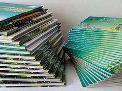 千彩文化 专业缔造难忘同学聚会，影像定格珍贵同窗情